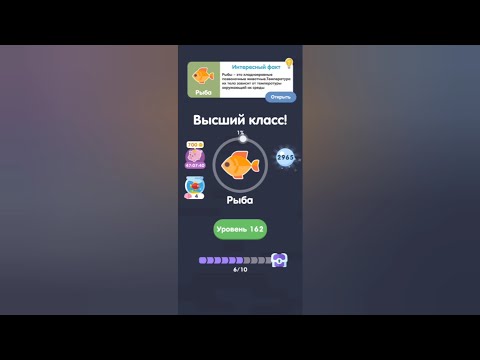 Видео: Море слов: Найди слова / Рыба / Уровень 161 162 163 164 165 166 167 168 169 170