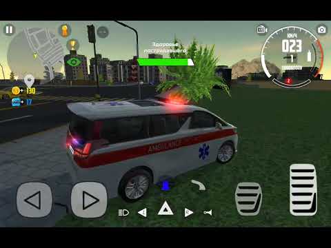 Видео: 4 ноября 2025 г.