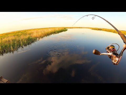 Видео: ЭТО ПРОСТО УЛЕТ! ДАВНЕНЬКО Я ТАК НЕ ЛОВИЛ! ТОЛЬКО ЗАКИНУЛ, А БЛЕСА УЖЕ В ШАХТЕ. Рыбалка на блесну