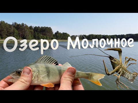 Видео: Лето. Озеро Молочное. Рыбалка.