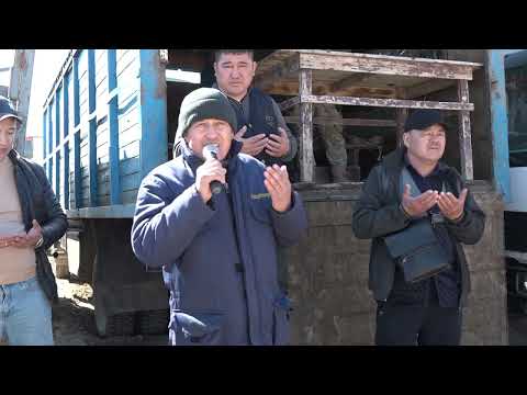 Видео: Көкпар Таласбаевтар әулиеті