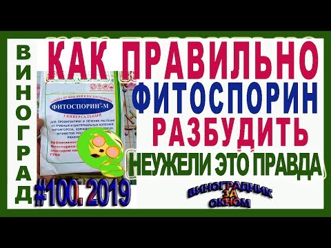 Видео: 🍇 Как РАЗБУДИТЬ ФИТОСПОРИН правильно? Почему спит сенная бактерия или сенная палочка.