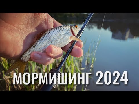 Видео: Мормишинг 2024. Ловля плотви та краснопірки спінінгом на мормишку