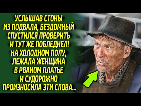 Видео: Бездомный обомлел, спустившись в подвал, на полу лежала женщина и слёзно произносила эти слова...