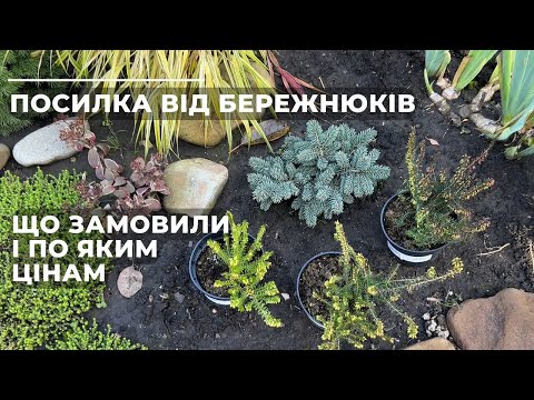 Видео: Посилка від Бережнюків. Що замовили і по яким цінам