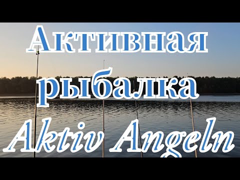 Видео: Рыбалка🐟 во Франции на реке Рейн 2025г (Rhein) клюнул подлещик #рыбалка #angeln #fishing #pêche #see