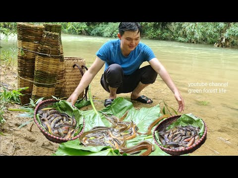 Видео: Ловите рыбу и угрей в диком ручье.  Роберт |  Зеленая лесная жизнь