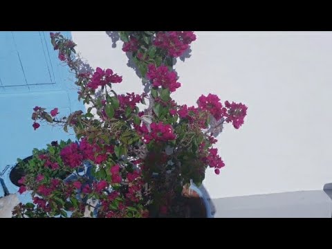 Видео: 49/ На море през ноември