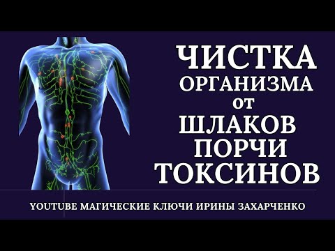 Видео: ЧИСТКА от ШЛАКОВ. Снимаем ПОРЧУ. ОЧИЩАЕМ ОРГАНИЗМ от ТОКСИНОВ и ВРЕДОНОСНЫХ ПРОГРАММ.