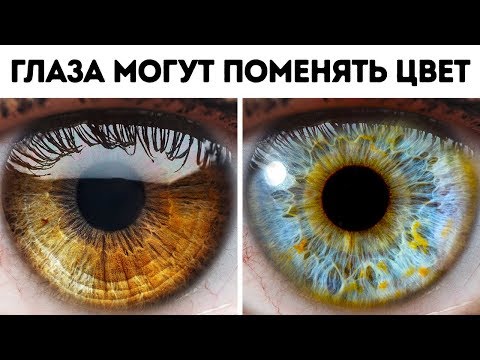 Видео: 100+ фактов о теле человека, доказывающих, что нет ничего невозможного