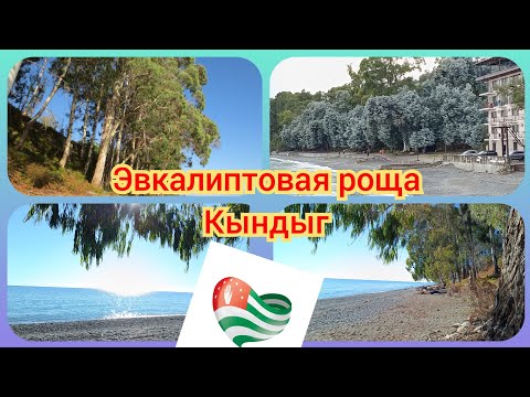 Видео: Кындыг. Эвкалиптовая роща👍. Прогулка по берегу. 19.10.2023🌱🌱#абхазия2023 .8ч.