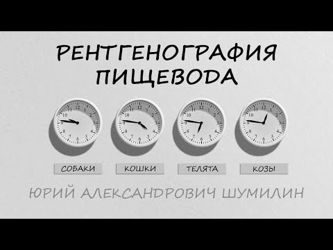 Видео: РЕНТГЕНОГРАФИЯ ПИЩЕВОДА