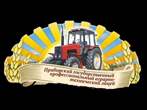 Видео: Танец профессий