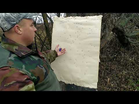 Видео: МР-155 Батл дульных сужений Progress-1.0 и Супер ГУСЬ-1.0 длина 25.5см с 3ки Главпатрон на 35м