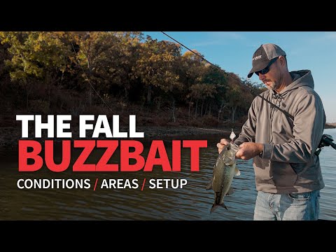 Видео: Осенний BUZZBAIT – знайте, КОГДА его забрасывать!