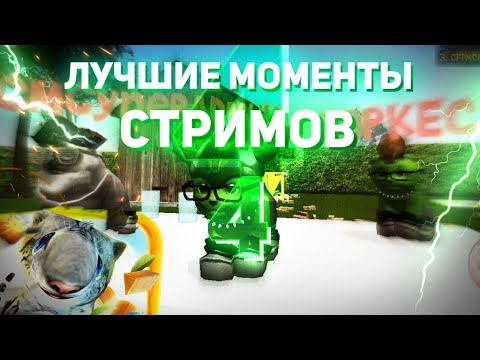 Видео: ЛУЧШИЕ Моменты Стримов по Cat Simulator 2015! 4 Часть