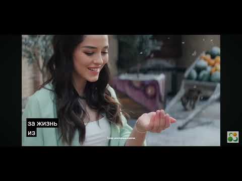 Видео: все реклама 