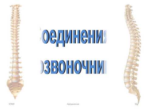 Видео: Общая артрология  Соединения костей скелета туловища