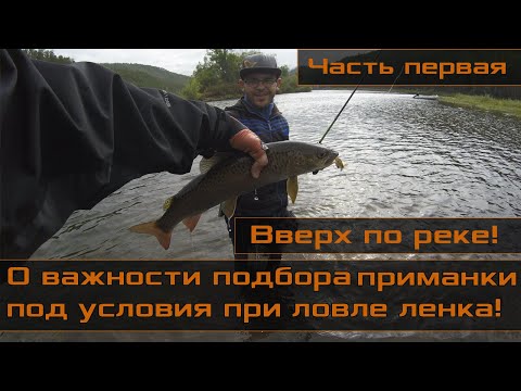 Видео: О важности подбора приманки под условия при ловле ленка! Вверх по реке!