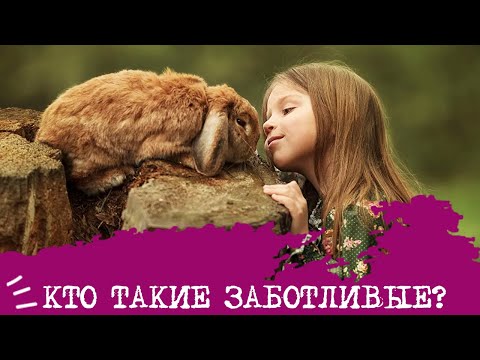 Видео: Кто такие ЗАБОТЛИВЫЕ?🤗