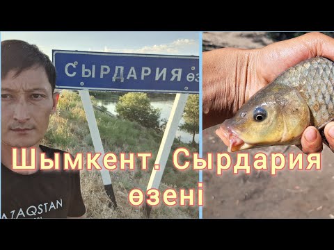 Видео: Шымкент. Сырдария қармақпен балық аулау