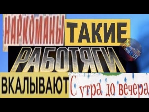 Видео: Реакция новобранцев на Нила и Эндрю|часть 2| ЧИТ. ОПИС.!!!
