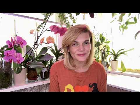 Видео: Орхидейная рутина  🌸❤️