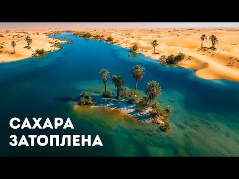 Видео: Наиболее загадочные открытия в пустыне, к которым мир не был готов