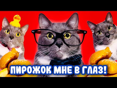 Видео: ЕСЛИ БЫ КОТИКИ ХОДИЛИ В ШКОЛУ - ДЕНЬ ЗАРПЛАТЫ