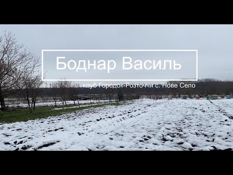 Видео: Боднар Василь - розплодовий бокс!