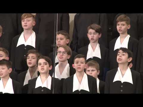 Видео: 11. Концертный хор мальчиков и юношей ХС - Ave Maria; В лесу прифронтовом.