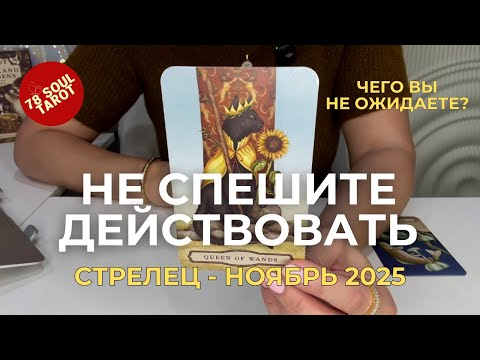 Видео: СТРЕЛЕЦ : Не спешите действовать! - ЧЕГО ВЫ НЕ ОЖИДАЕТЕ? | Ноябрь 2025 таро прогноз