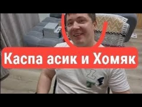 Видео: КАСПА АСИКИ и ХОМЯК...