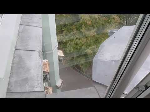 Видео: Пассажирский лифт ЩЛЗ-(2015 г) 400 кг, 1 м/с (@ г. Москва, Чистопрудный бульвар, 19/1)