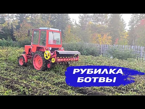 Видео: Механизированный скос ботвы картофеля. Рубилка ботвы.