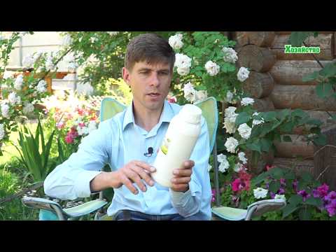 Видео: Органический препарат "Актофит". Применение, использование.