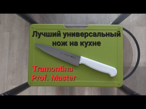 Видео: Лучший универсальный нож для кухни за 600 рублей. Ода Трамонтине. Professional Master 24620/086