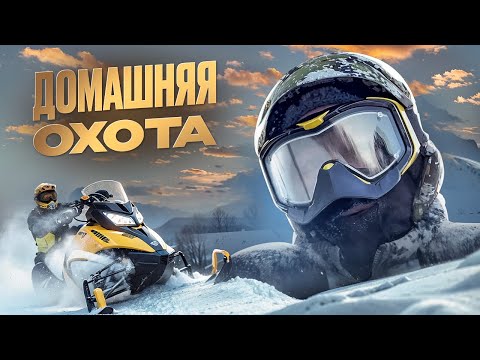 Видео: Охота на кабана | Добыли кабана с вышки