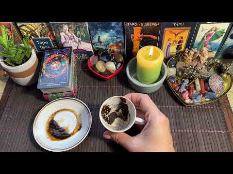 Видео: Чашка дня‼️