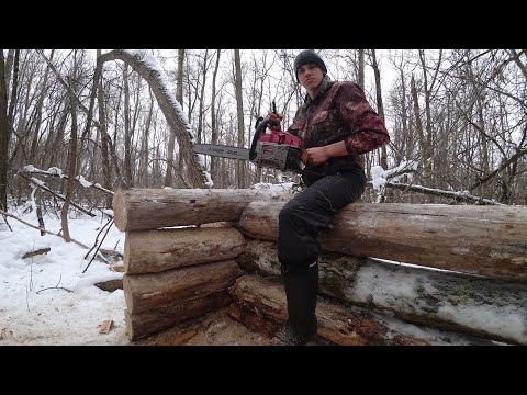 Видео: СТРОЮ ИЗБУ В ЛЕСУ | СТАВЛЮ СРУБ