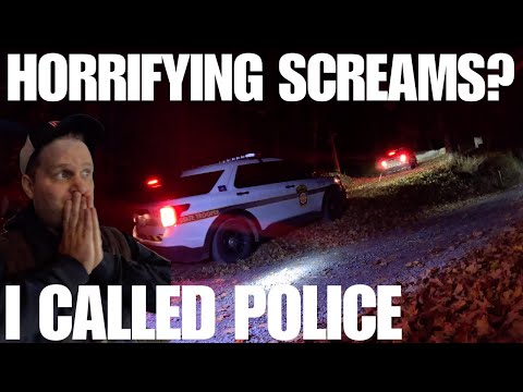 Видео: Я вызвал ПОЛИЦИЮ во время кемпинга (УЖАСАЮЩИЕ КРИЧКИ В ЛЕСУ)