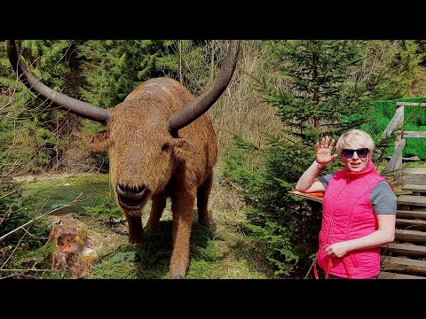 Видео: Где берем позитивную энергию? Все просто - Живите здесь и сейчас!