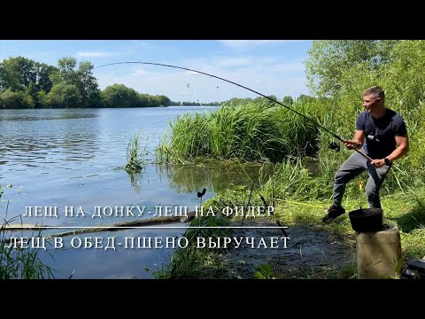 Видео: Лещ на донку.Лещ на фидер.Обеденный клев!