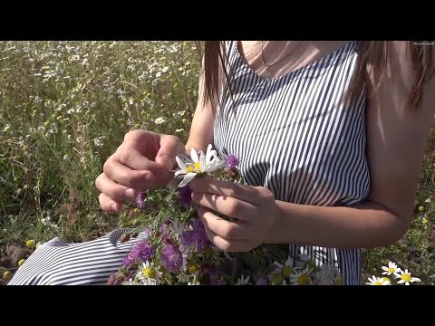 Видео: Тыланем мый тыланет... 13 марта 2023 г.