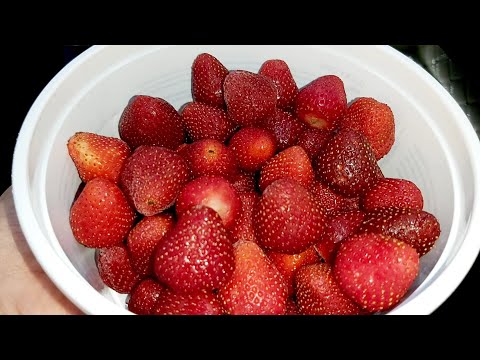 Видео: Ինչպես եմ սառեցնում #ԵԼԱԿԸ ձմռան համար։Как заморозить #Клубнику на зиму.How to freeze