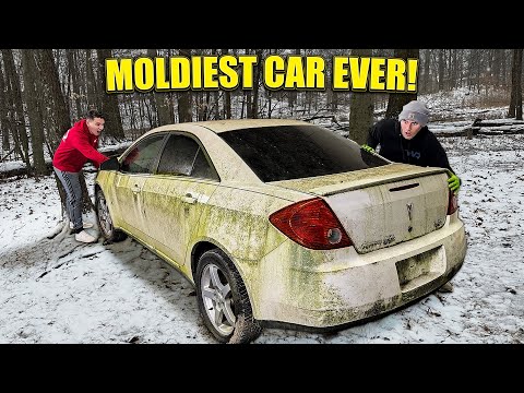 Видео: Скотный двор Бедствия Найти | Самый заплесневелый G6! | ЗАБРОШЕН В ЛЕСУ! | Реставрация автомобилей