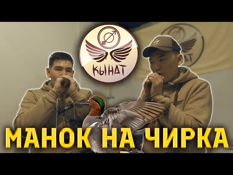 Видео: Манок на чирка от Кынат