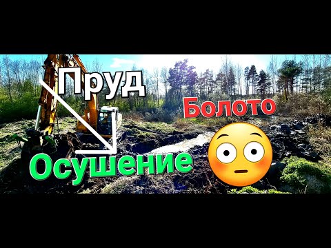Видео: Осушения болота! Работа Экскаватора
