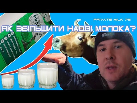 Видео: Як збільшити надої молока? Білок в годівлі корів | Private Milk | Травецький