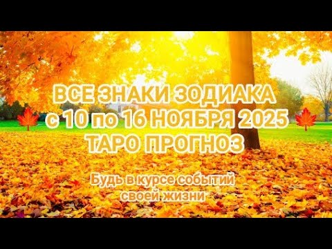 Видео: ВСЕ ЗНАКИ ЗОДИАКА с 10 по 16 НОЯБРЯ 2025 таро прогноз 